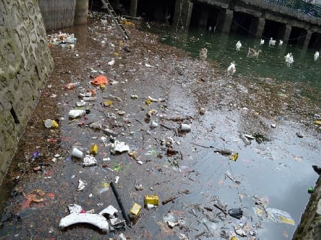 Naini Lake is full of garbage near the stalk