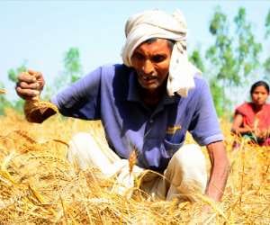 Second survey to be conducted for loss of farmers.