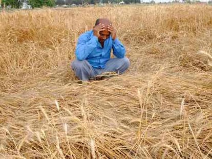 No help to farmers from up goverment