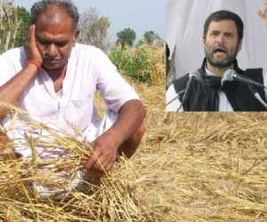 Big lose of farmers in Amethi.