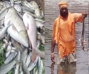No difference between the mind and the fish