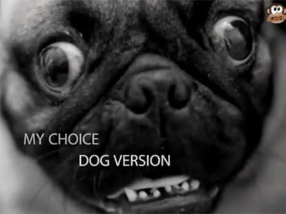 spoof videos on deepikas my choice video