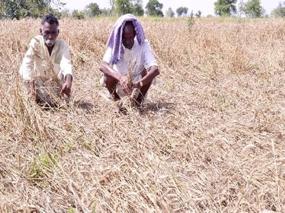 news about farmers and kisan credit card