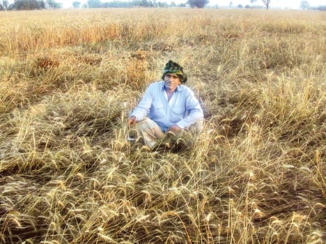Farmers harvest waste is broken