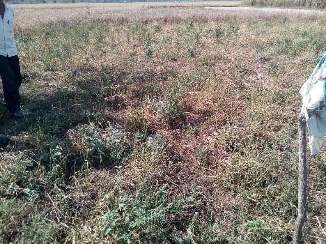 The waste 125 farmers, 57 received compensation