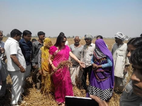 for natural disaster long term plan is needed