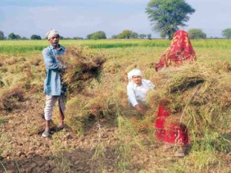 Madhya Pradesh DM saying farmers themselves are responsible for suicides.
