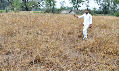 Central team accepts big lose of farmers in Uttar Pradesh.