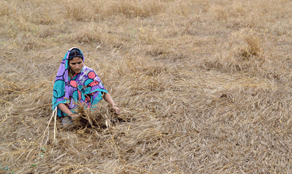  case of Death Of Farmers In Up 
