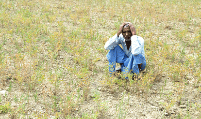 Farmer died due to ruined crop