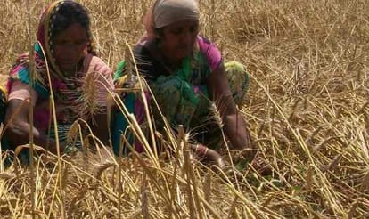 less relief for farmers by UP govt.