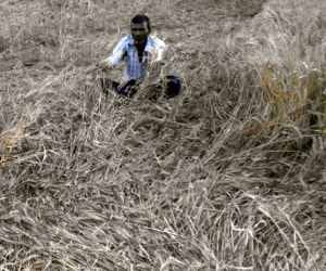 Officers say farmers died but not because of disaster.