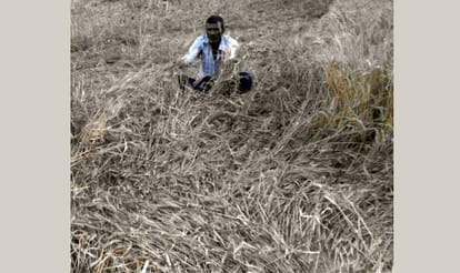 Administration not helping farmers.