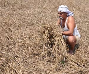 poor farmers see the side of government