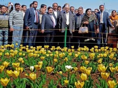 this time climate may harm kashmir tourism season