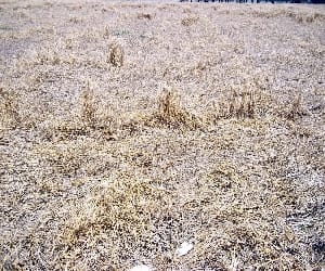 Shock death of farmer