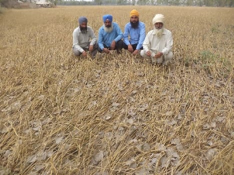 kisan behal