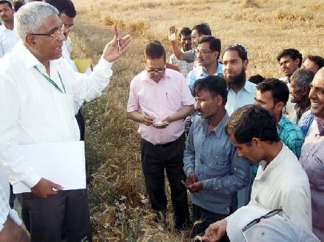 Destruction of crops in the central authorities showed Puwayan