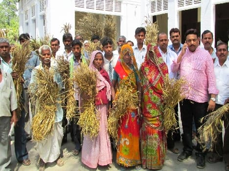 Accountant level rural disturbances broke on crop survey