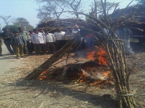 Burnt cane farmers