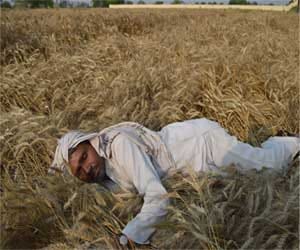 Administration not helping farmers.