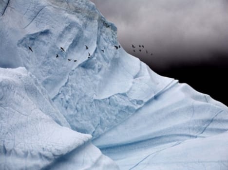 iceberg on badrinath highway.