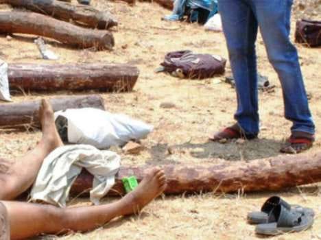sandal smuggling in andhra pradesh and tamilnadu.
