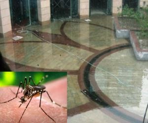 Malaria free campaign in chandigarh from next month