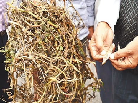 No amount of aid received five lacks Farmers