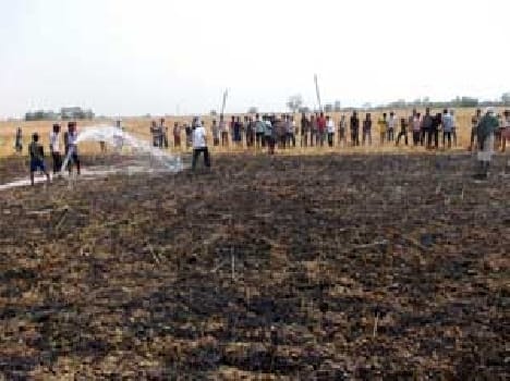 harvest burned  from wire 