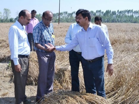 Farmers have not seen and heard the pain of farm survey