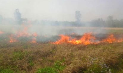 After seeing his crops waste farmer fires in his field.