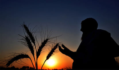 rain creates problem for uttarakhand farmer.