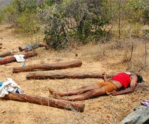 AP encounter case: Madras high court order on bodies.