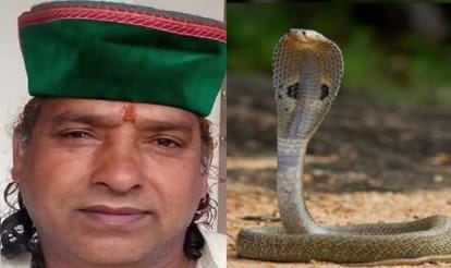story of cobra love man