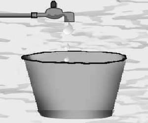people protest for water
