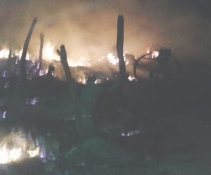 Maiden scorched in suspicious circumstances, Refer
