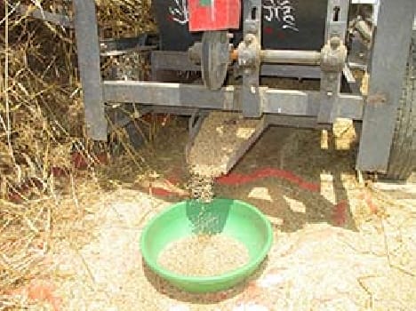 There was never such a waste of crops