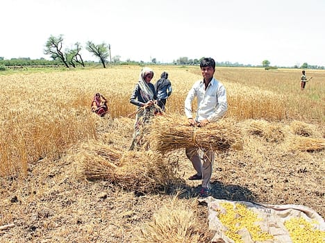Farmers not like government help