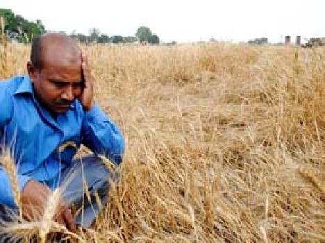 Doli daughter desires to offer shatter