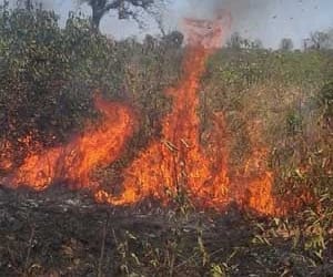 two more farmers have tried to suicide in mathura