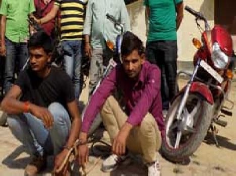 Vehicle thieves busted