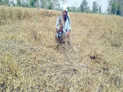 UP govt compensation is not enough for farmers.