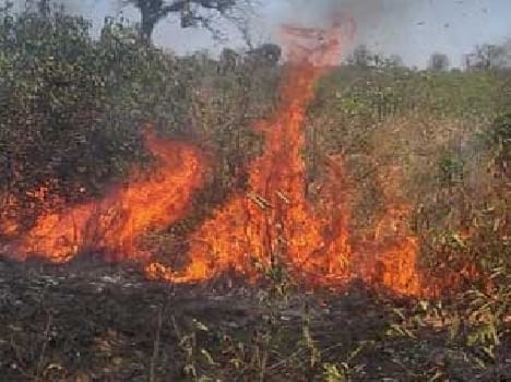 Farmers' hopes were lost to flames