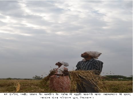 Ole farmers in trouble again lashed