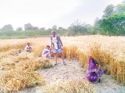 Ram naik says politics is not right on farmers suicide