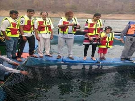 The impressive results Pijdha Fisheries