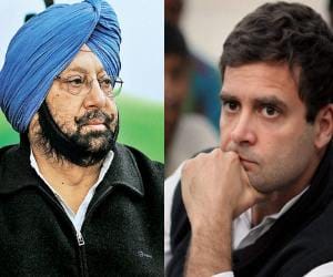 captain amrinder singh big statement about rahul gandhi