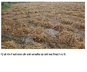 Pratapgarh district , killing eight formar in 24 hours