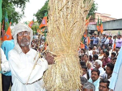 BJP MPs led all roared